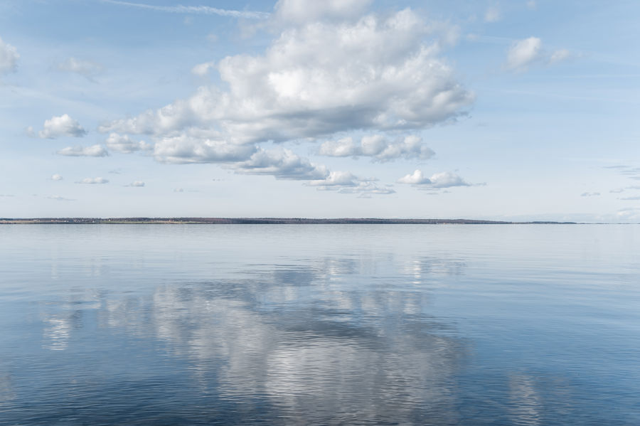 content.Image.GetImageAltText()